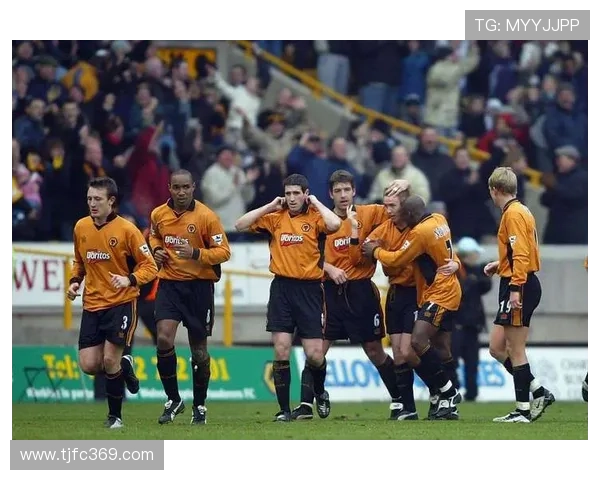 狼队与水晶宫，中游球队的竞争